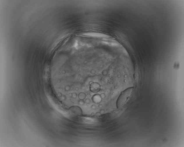 X0000112010167200909141134