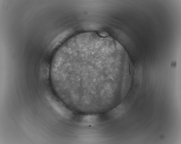 X0000112010168200909141134