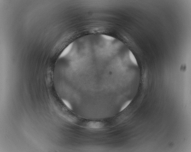 X0000112010169200909141134