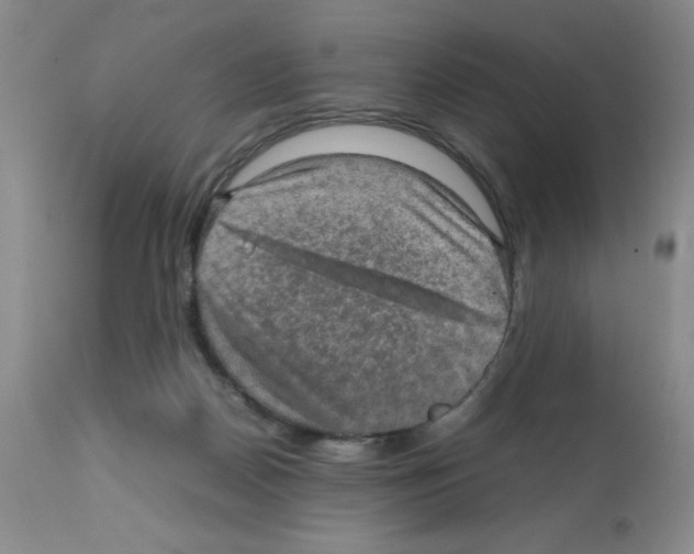 X0000112010170200909141134