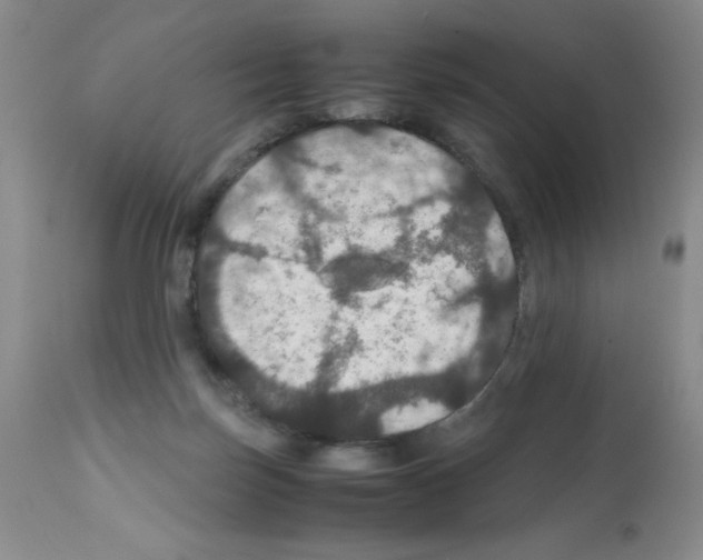 X0000112010171200909141134