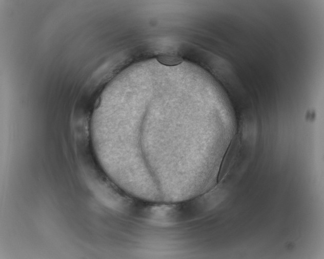 X0000112010172200909141134