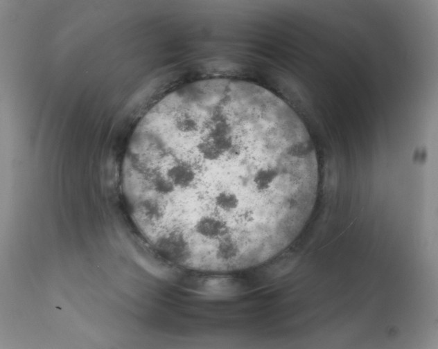 X0000112010173200909141134