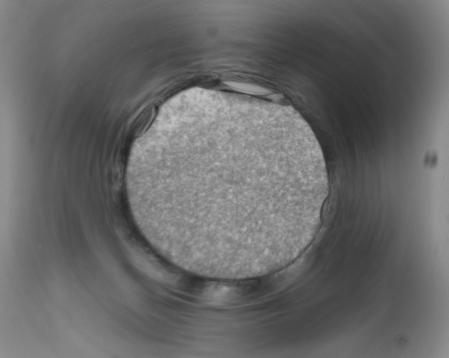 X0000112010174200909141134