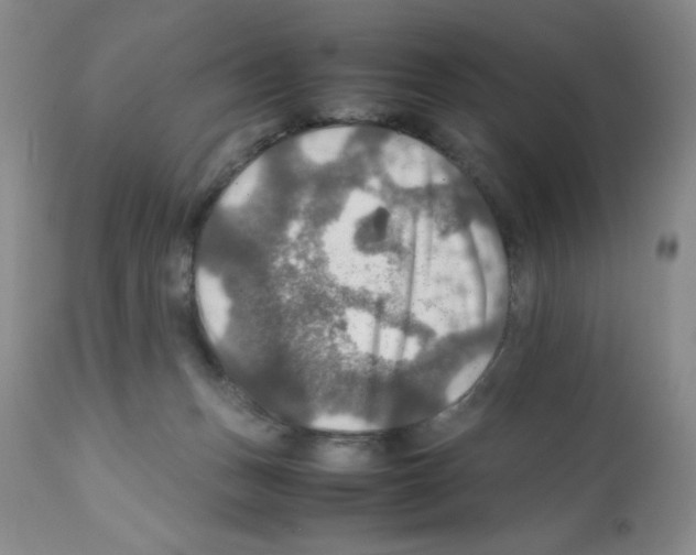 X0000112010175200909141134