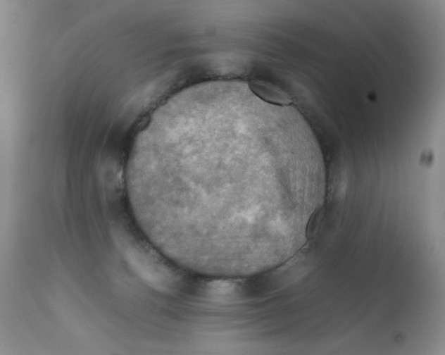 X0000112010176200909141134