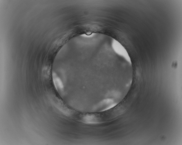 X0000112010177200909141134