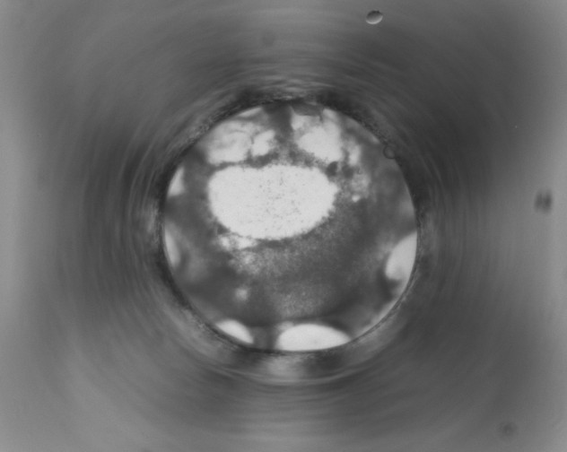 X0000112010178200909141134