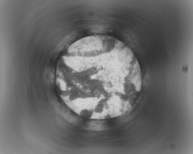 X0000112010179200909141134