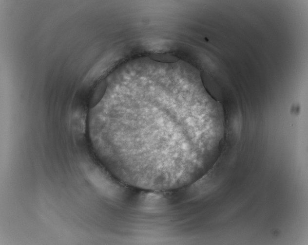 X0000112010180200909141134