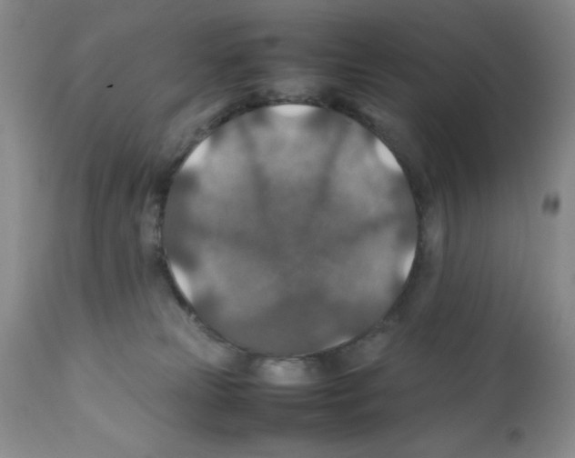 X0000112010181200909141134