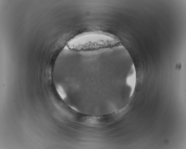 X0000112010182200909141134