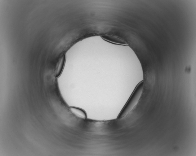 X0000112010184200909141134