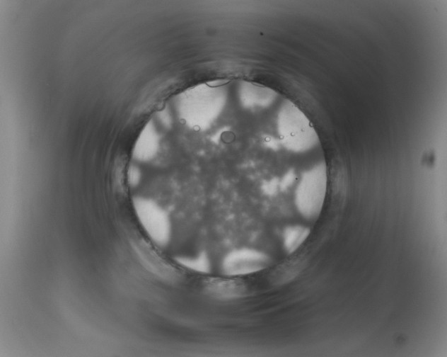 X0000112010185200909141134