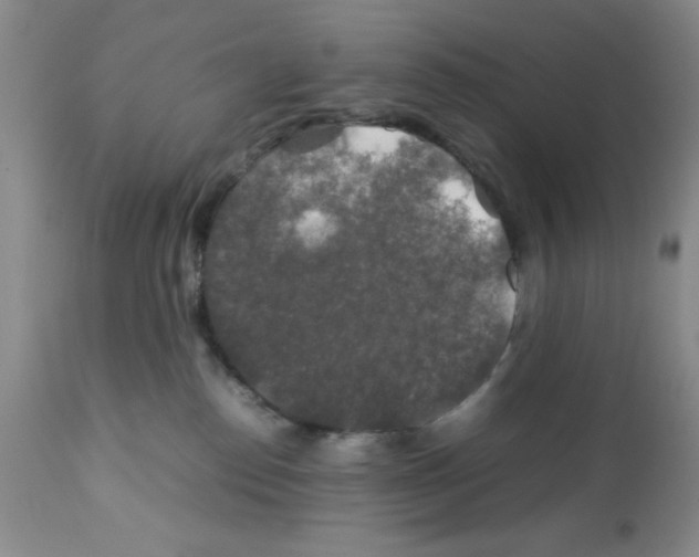 X0000112010186200909141134