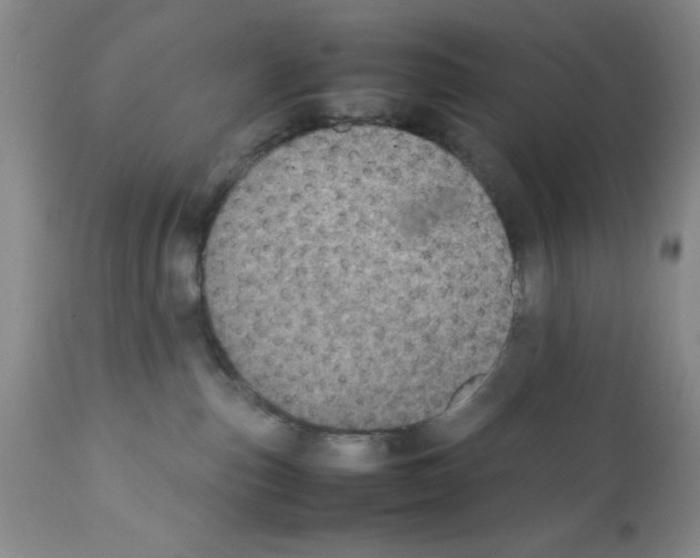 X0000112010187200909141134