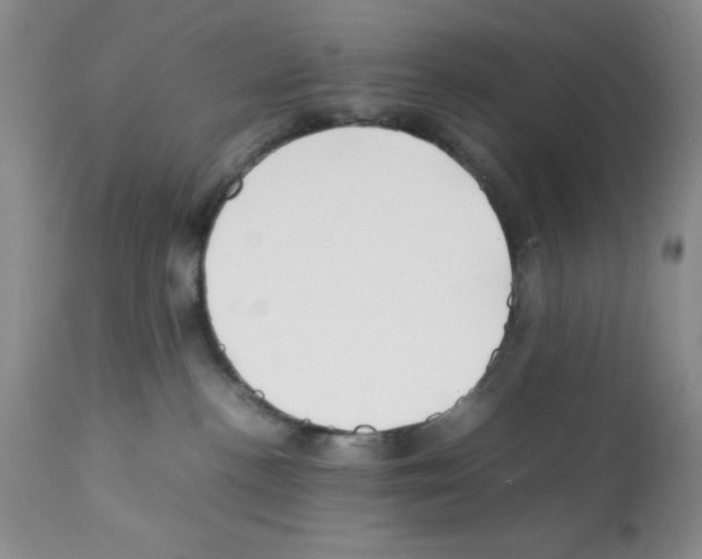 X0000112010188200909141135