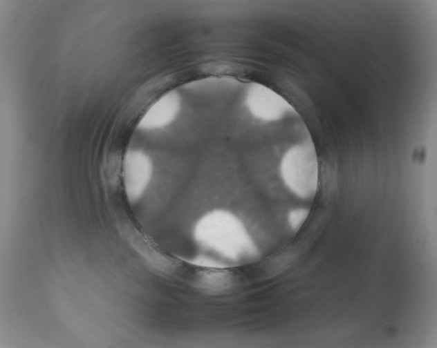 X0000112010189200909141135