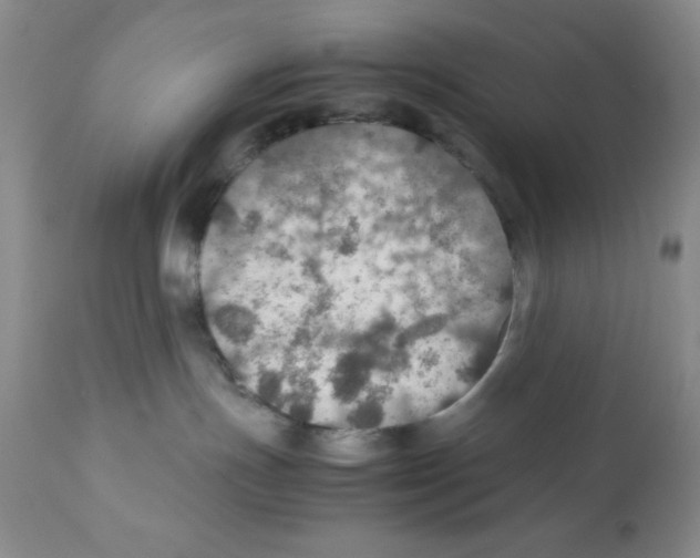 X0000112010191200909141135
