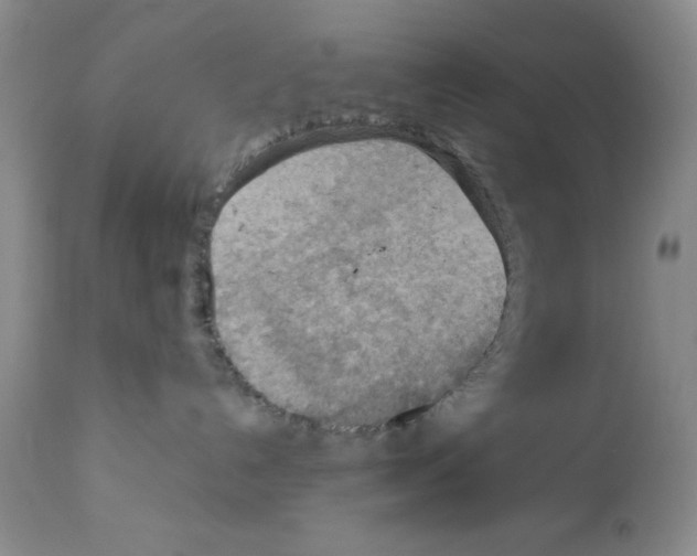 X0000112010192200909141135