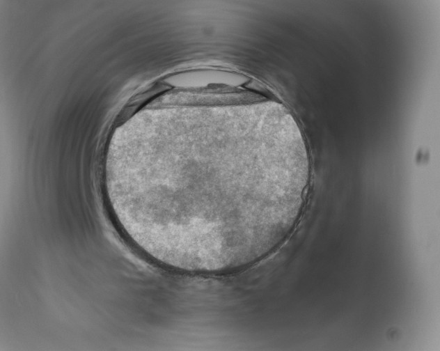 X0000112010193200909141134