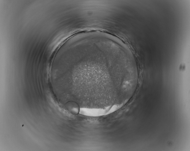 X0000112010194200909141134
