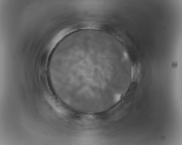 X0000112010195200909141134