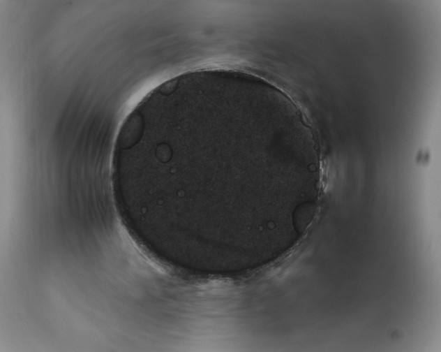 X0000112010196200909141134