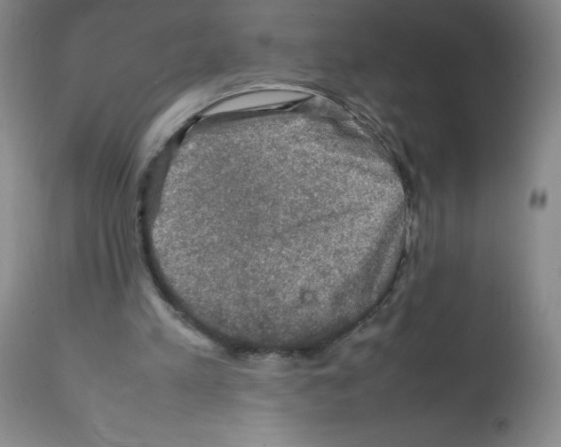 X0000112010197200909141134