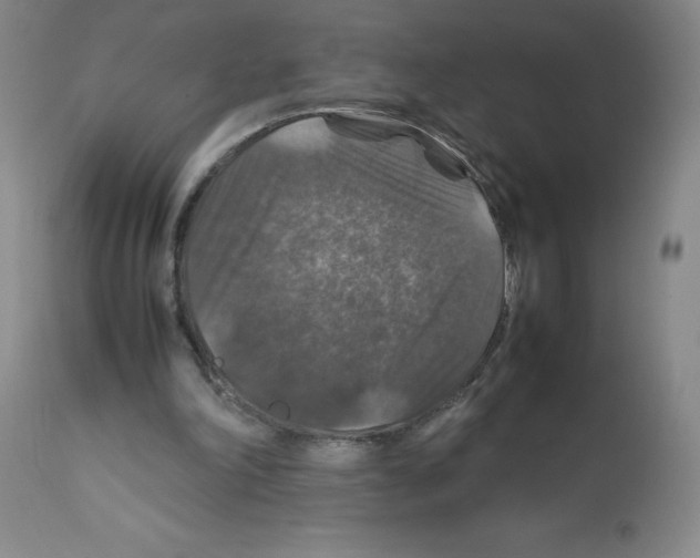 X0000112010198200909141134