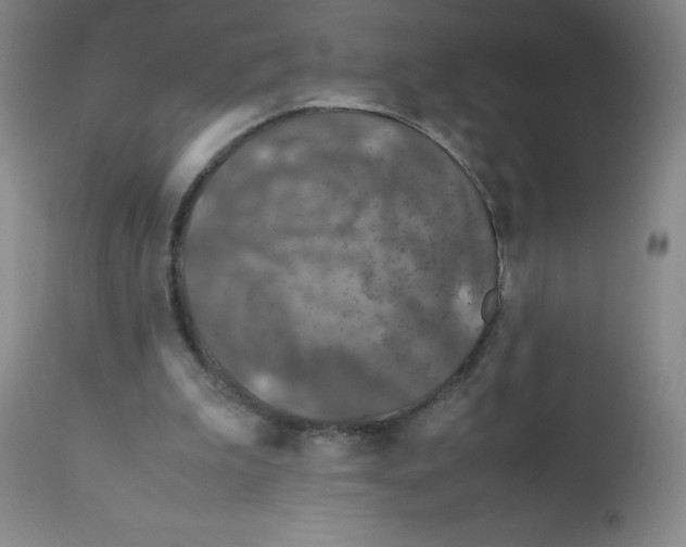 X0000112010199200909141134