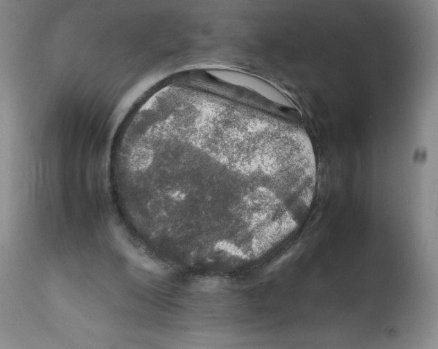 X0000112010200200909141134