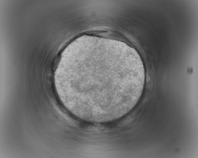 X0000112010201200909141134