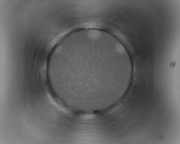X0000112010202200909141134