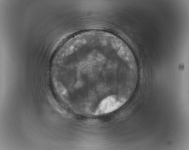 X0000112010203200909141134