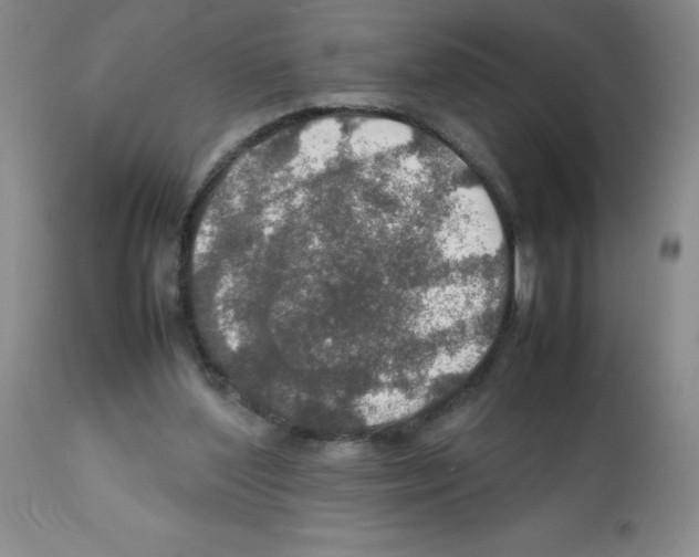 X0000112010204200909141134