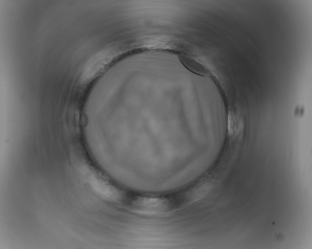 X0000112010205200909141134