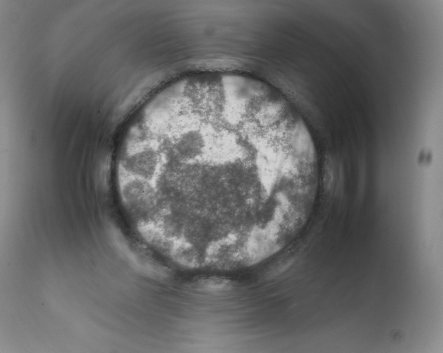 X0000112010206200909141134