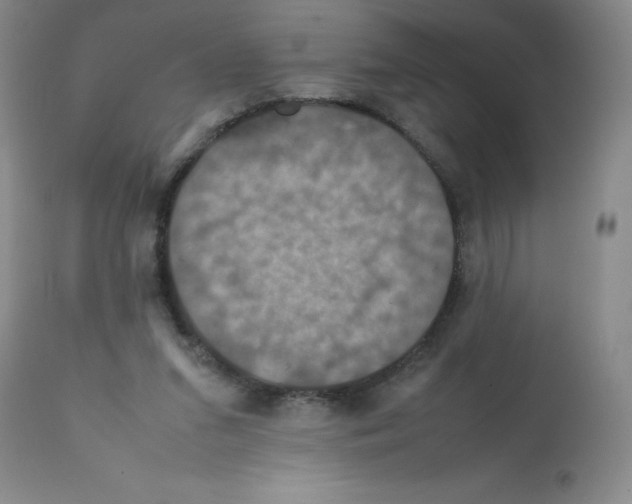X0000112010207200909141134