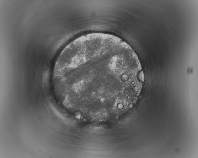 X0000112010208200909141134