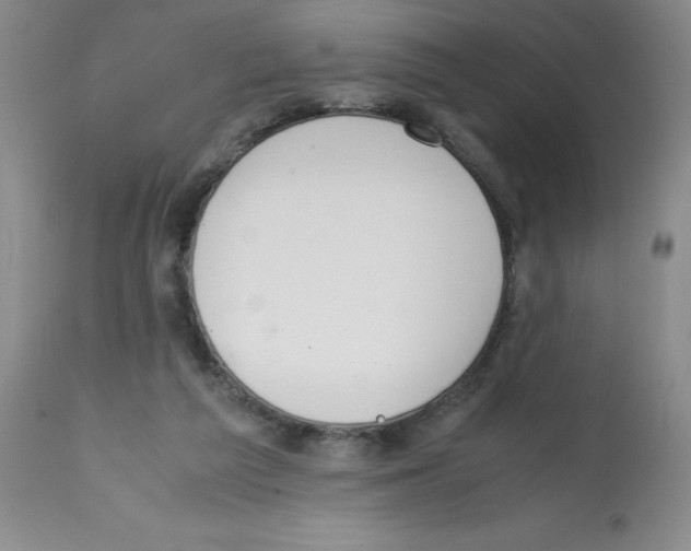 X0000112010209200909141134