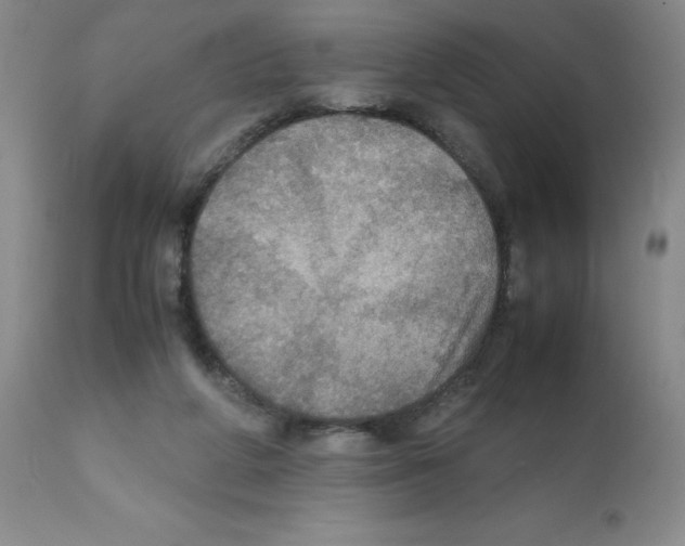 X0000112010210200909141133