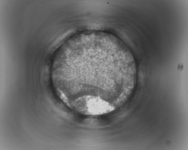 X0000112010211200909141133