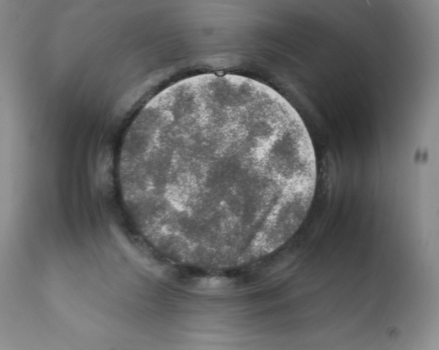X0000112010212200909141133