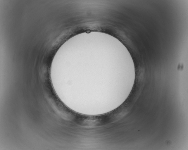 X0000112010213200909141133