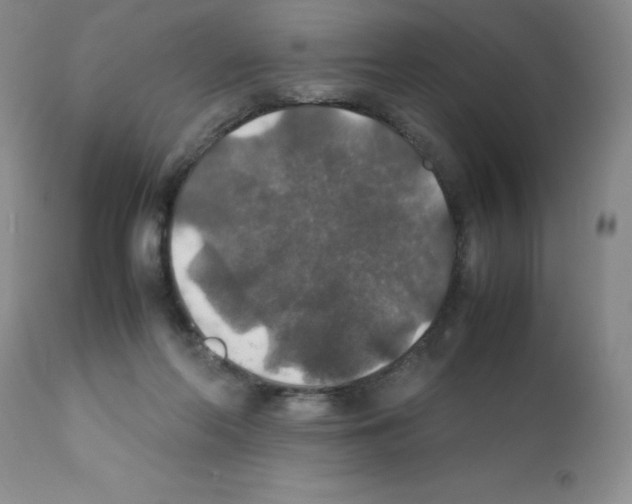 X0000112010214200909141133