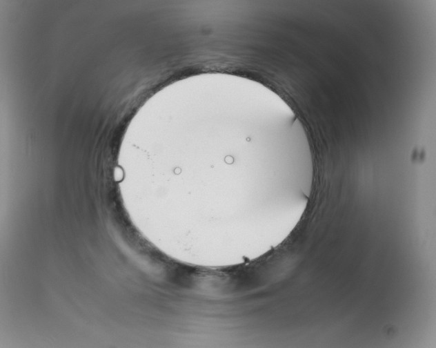X0000112010215200909141133