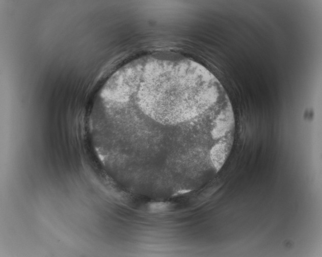 X0000112010216200909141133