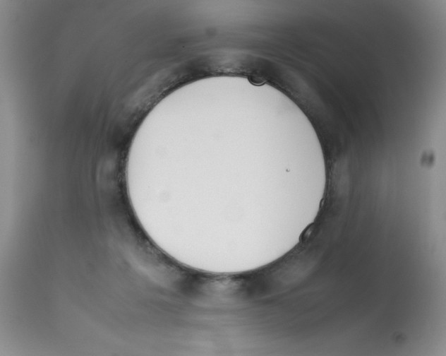 X0000112010217200909141133