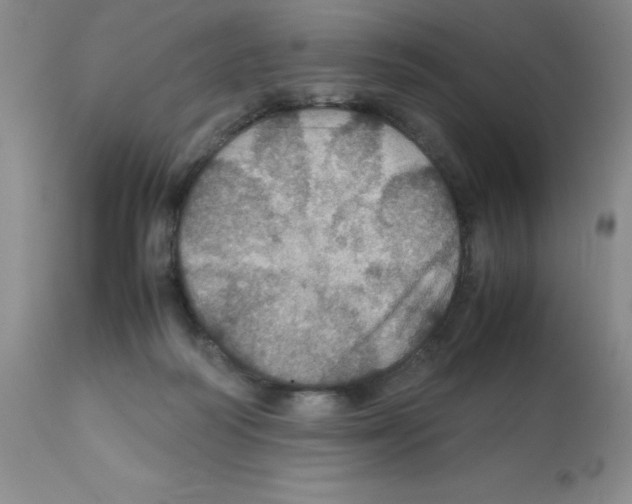 X0000112010218200909141133